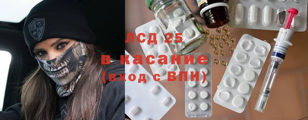 гашик Алексин