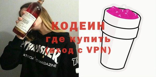 гашик Алексин