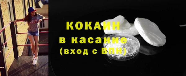 дмт Краснослободск