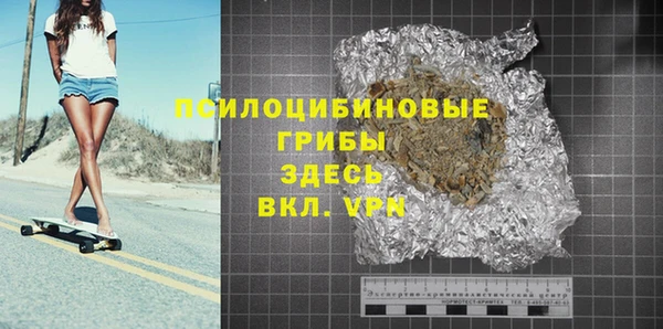 гидра Алексеевка