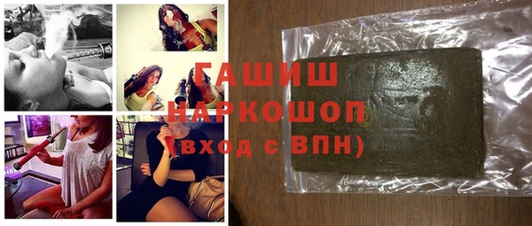гашик Алексин