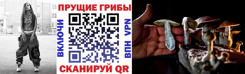 Галлюциногенные грибы Magic Shrooms Ак-Довурак